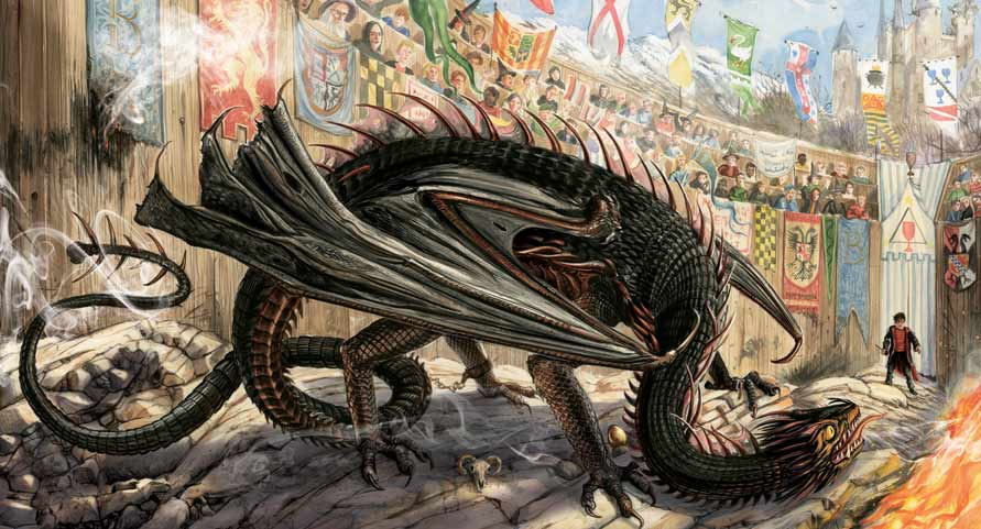 Drawing of Harry fighting the Hungarian Horntail dragon in the 4th Harry Potter book: The Goblet of Fire