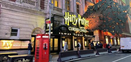 Harry Potter and the Cursed Child  Official Broadway Merchandise Store